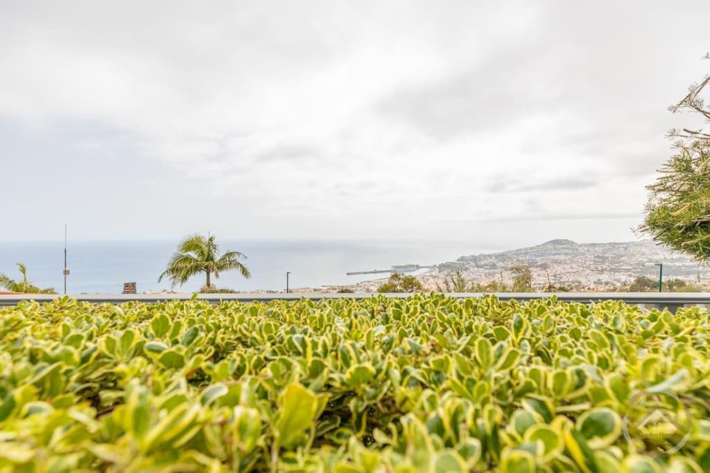 Garden House Villa Funchal  Buitenkant foto